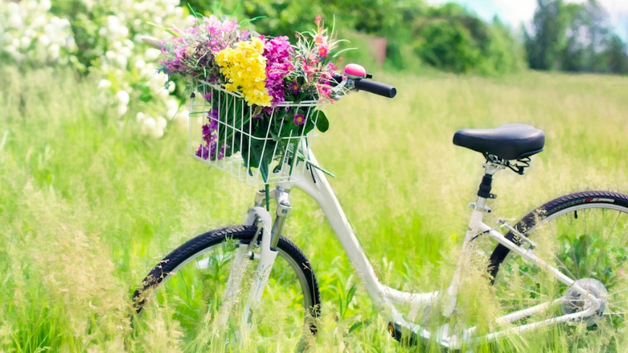 Da Roma a Civitavecchia, in bicicletta per la staffetta ecologica “Alzati & Pedala”